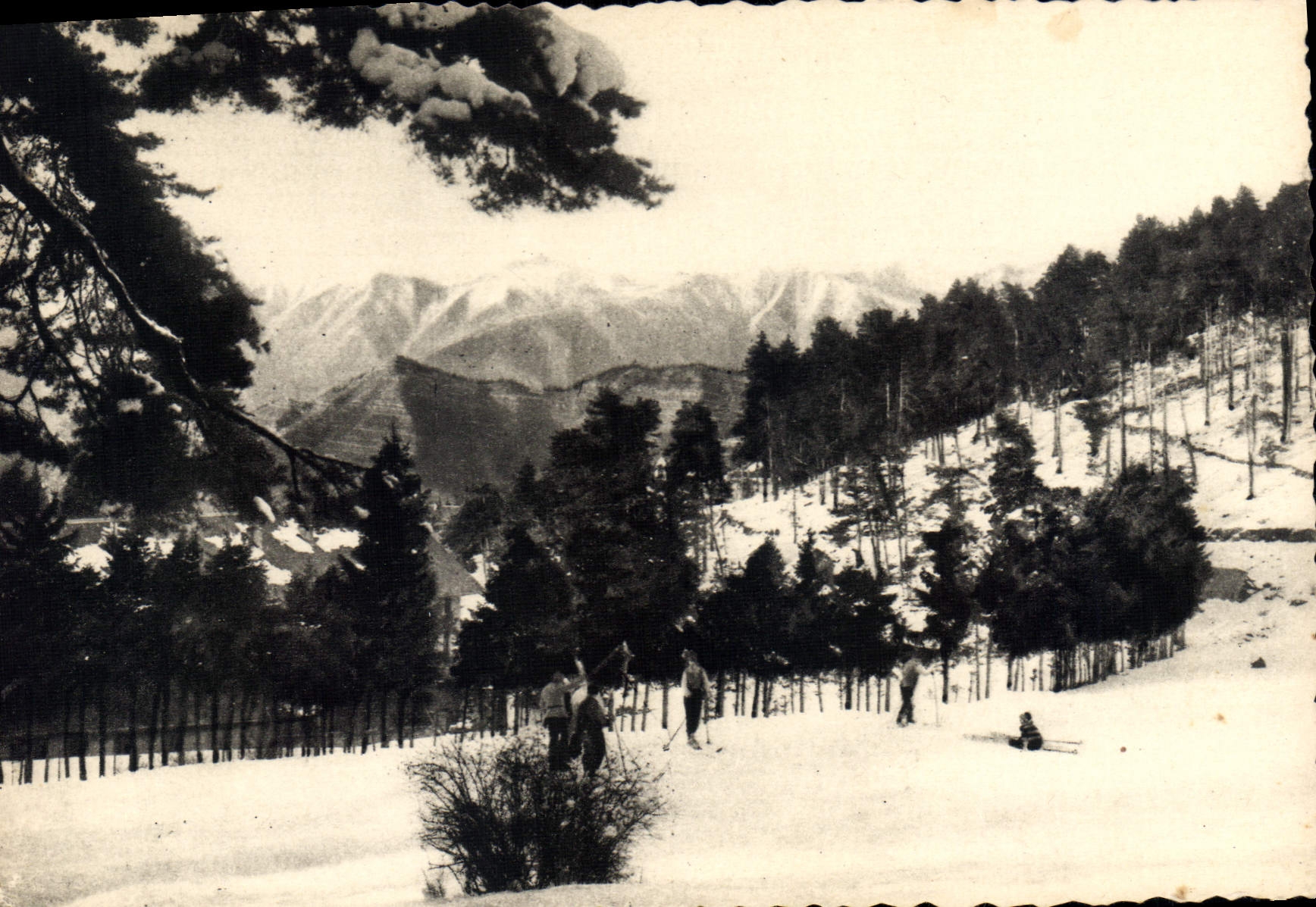 CPSM Peira Cava (A M) alt 1500m Vue sur les Alpes