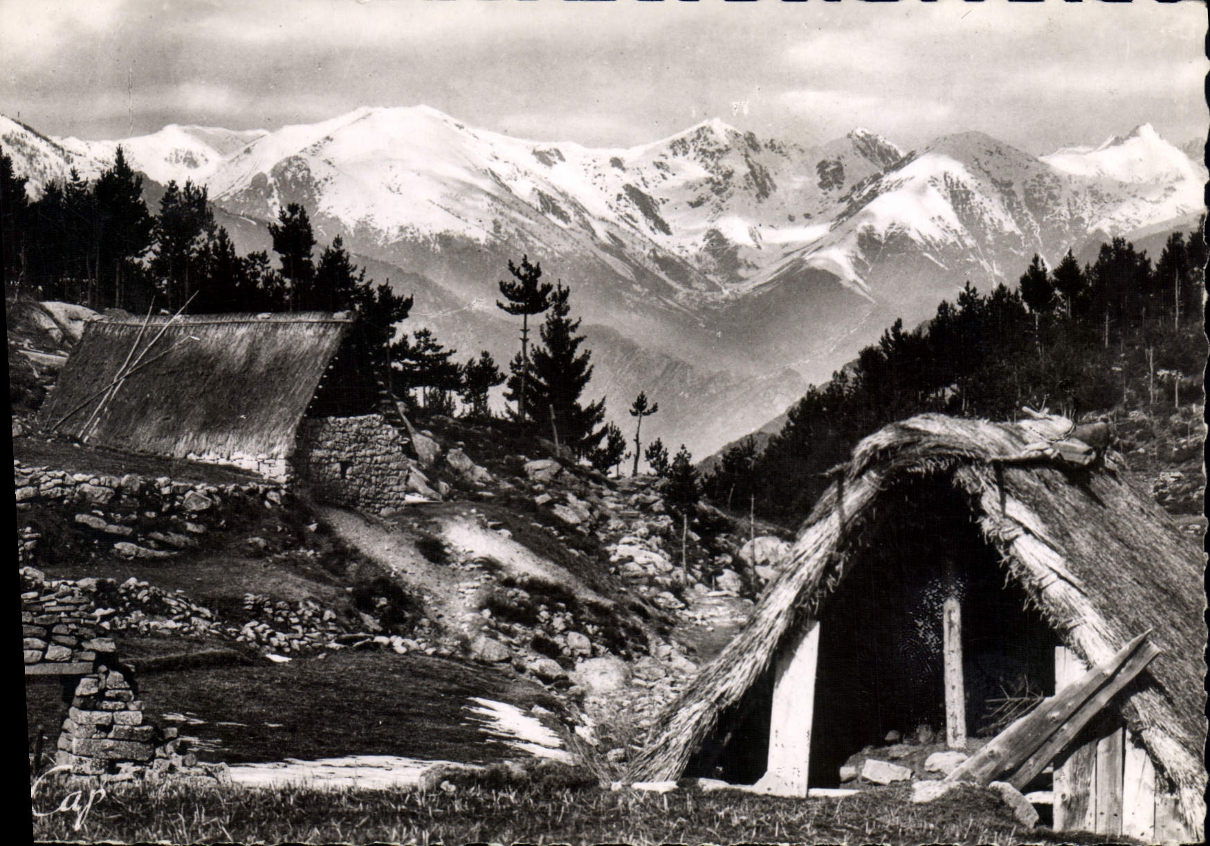 CPSM Peira Cava (alt 1500 m) Les Granges et la Chaine des Alpes