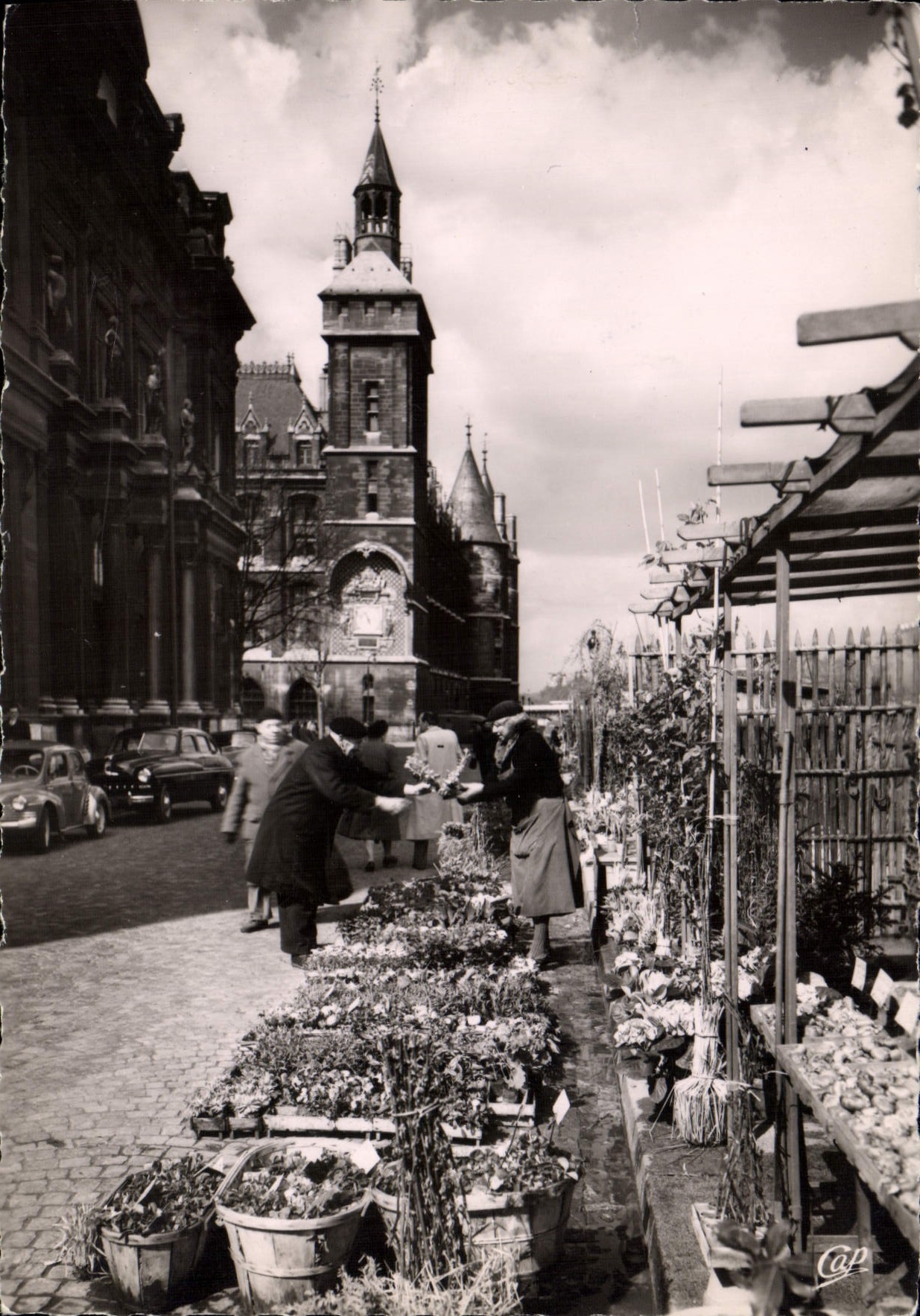 CPSM Paris le Marche aux Fleurs