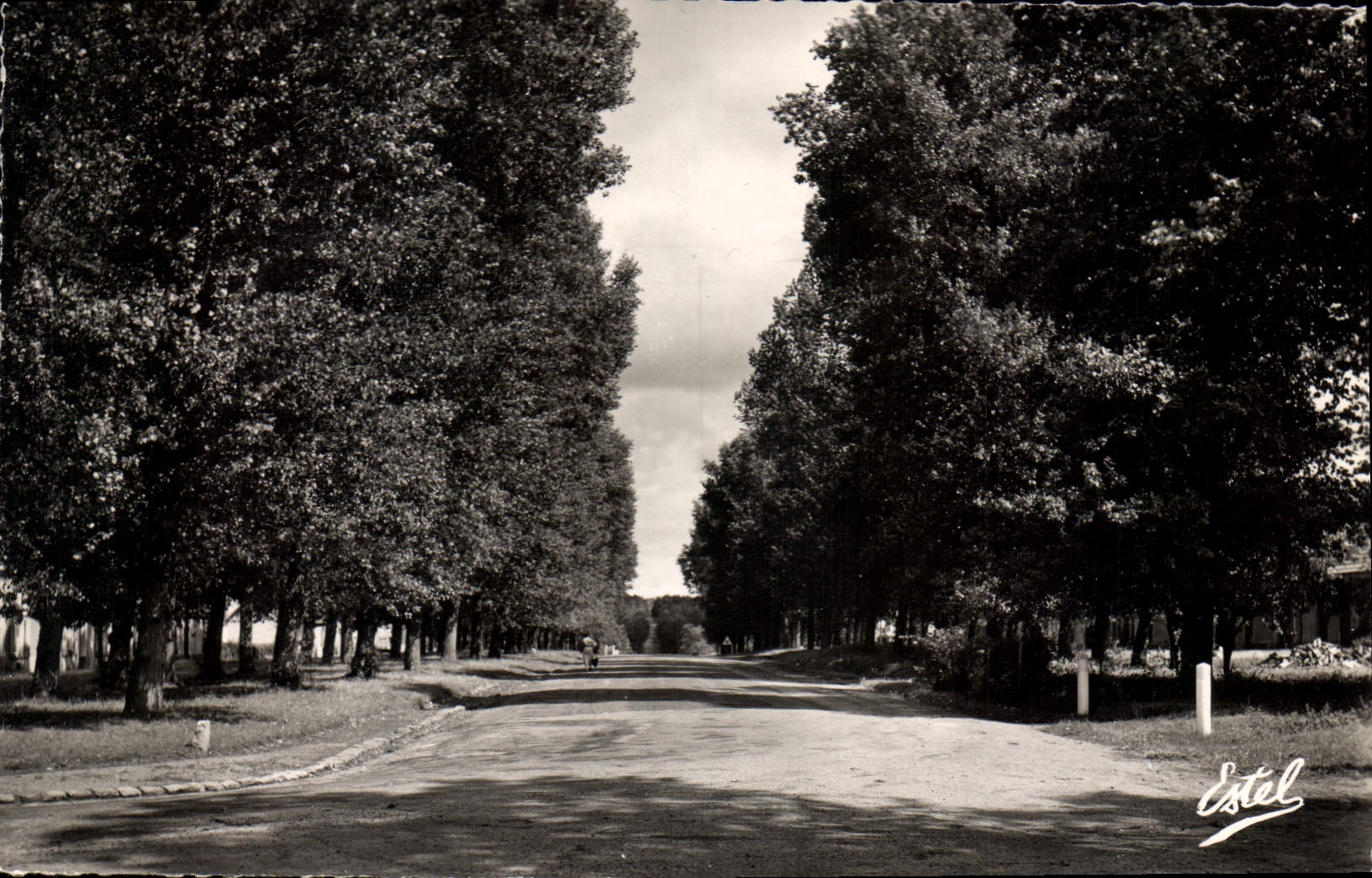 CPA Gambais (S et O) L'Avenue