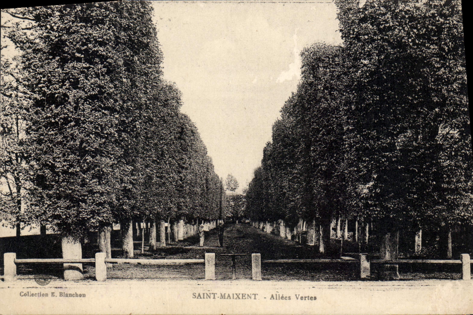 CPA Saint Maxient Allees Vertes