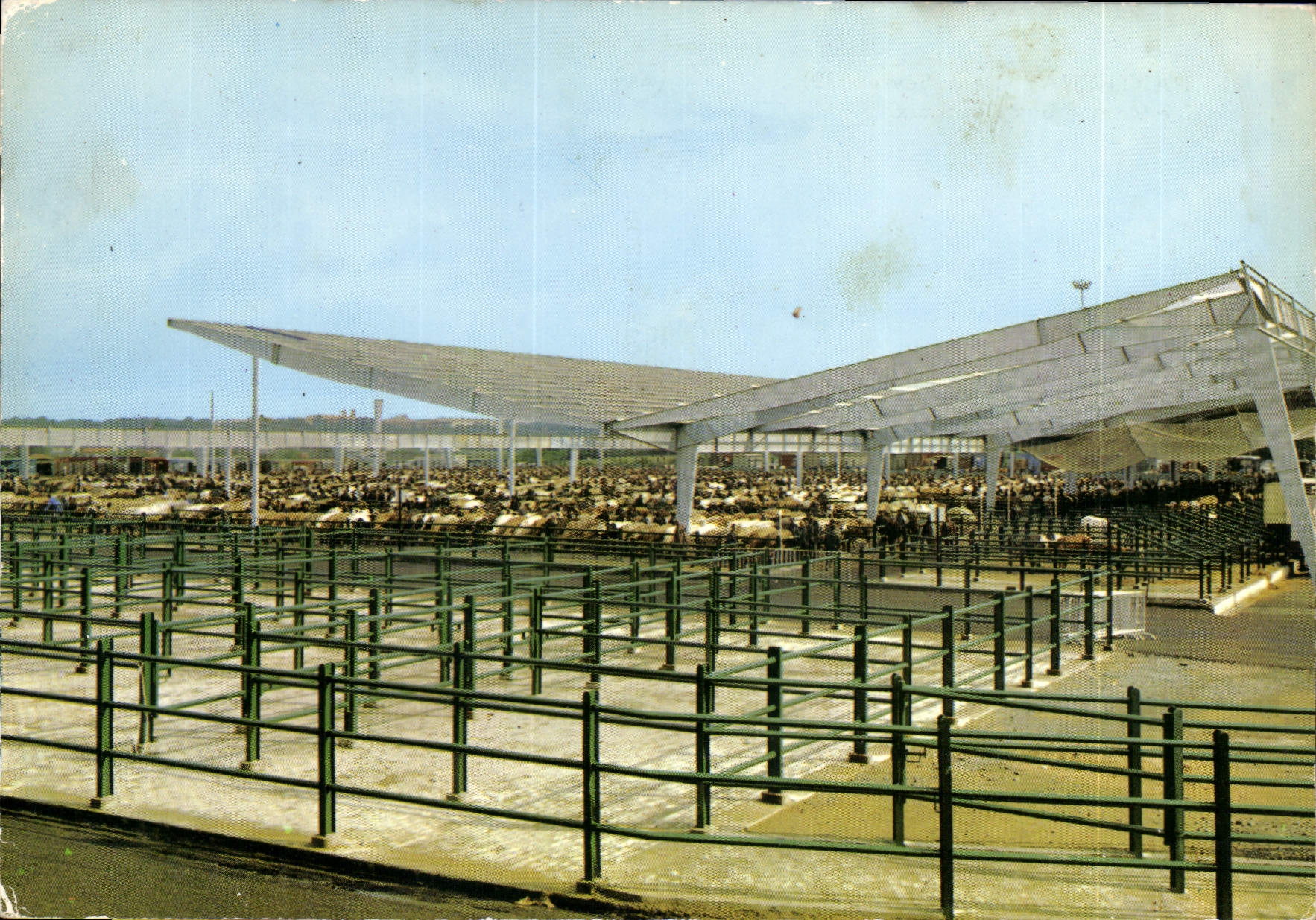 CPSM Parthenay (Deux Sevres 79) Le Marche aux Bestiaux