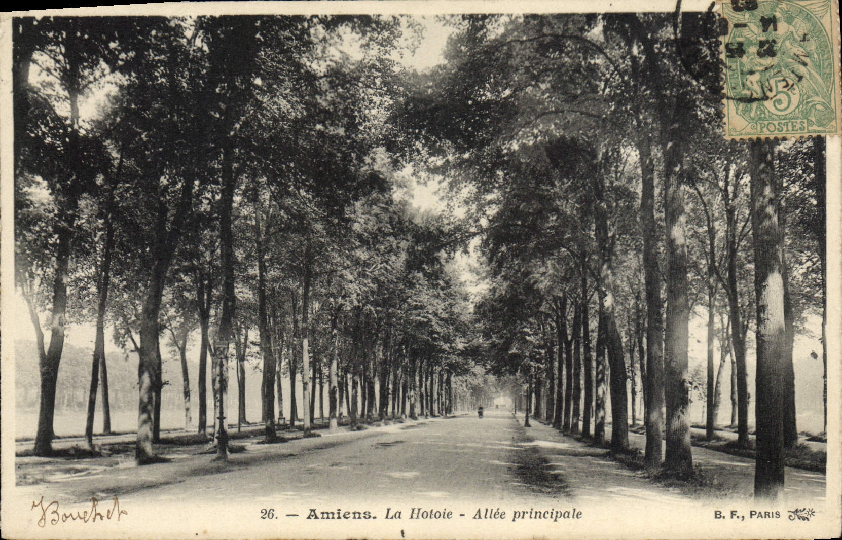CPA Amiens la Hotoie Allee principale