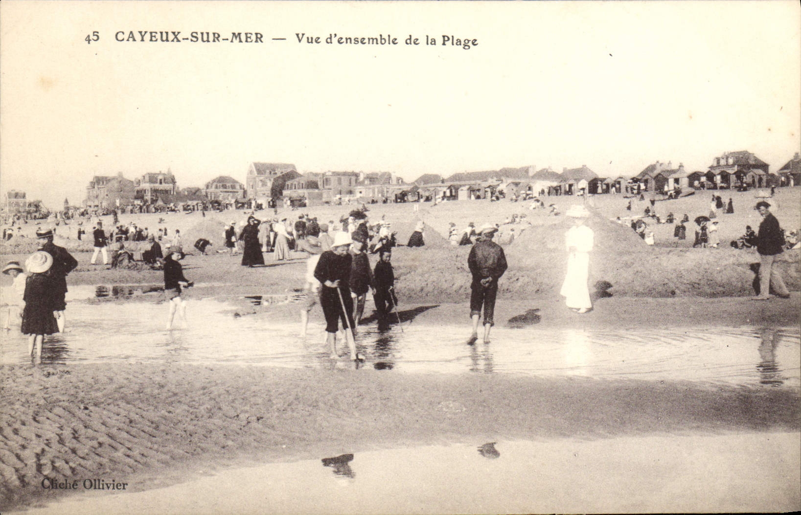 CPA Cayeux sur Mer Vue d'ensemble de le Plage