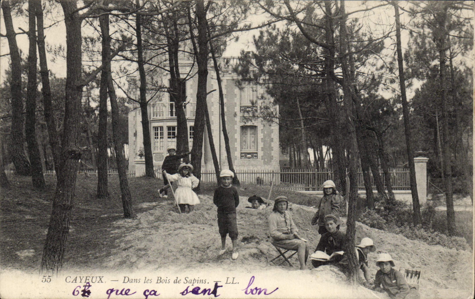 CPA Cayeux Dans les Bois de Sapins