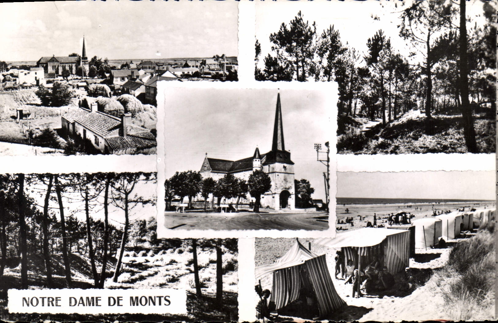 CPA Notre Dame de Monts souvenir
