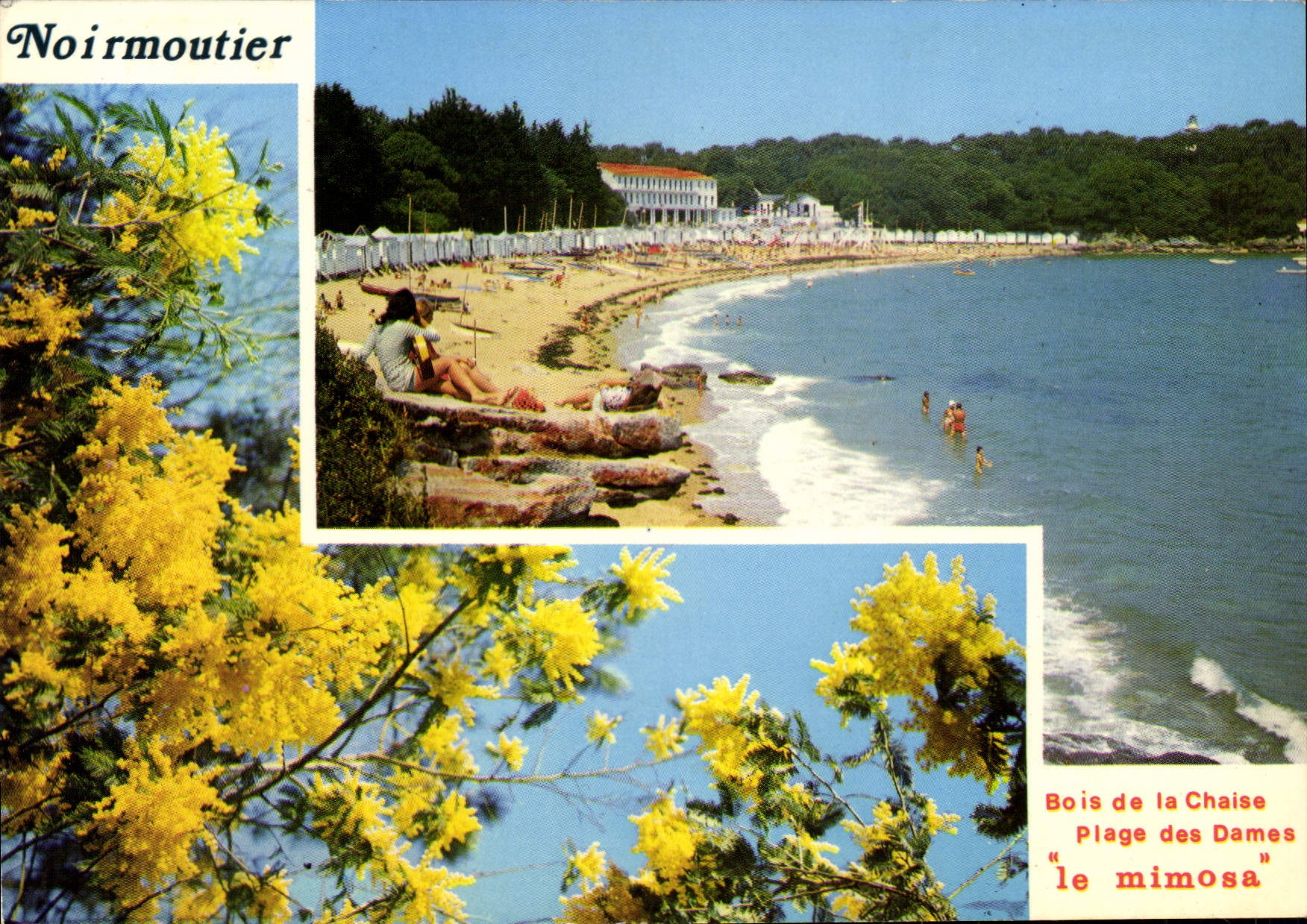 CPSM Ile de Noirmoutier Plage des Dames bois de la chaise le mimosa