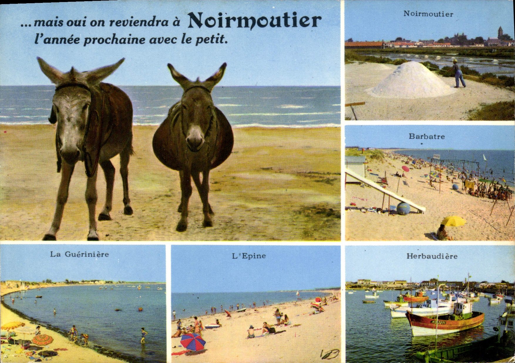 CPA La Vendee Pittoresque Ile de Noirmoutier