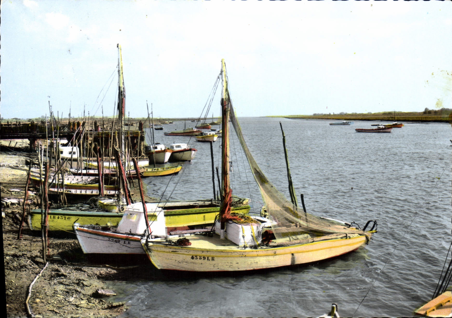 CPSM L'Aiguillon sur Mer Vendee Le Port 