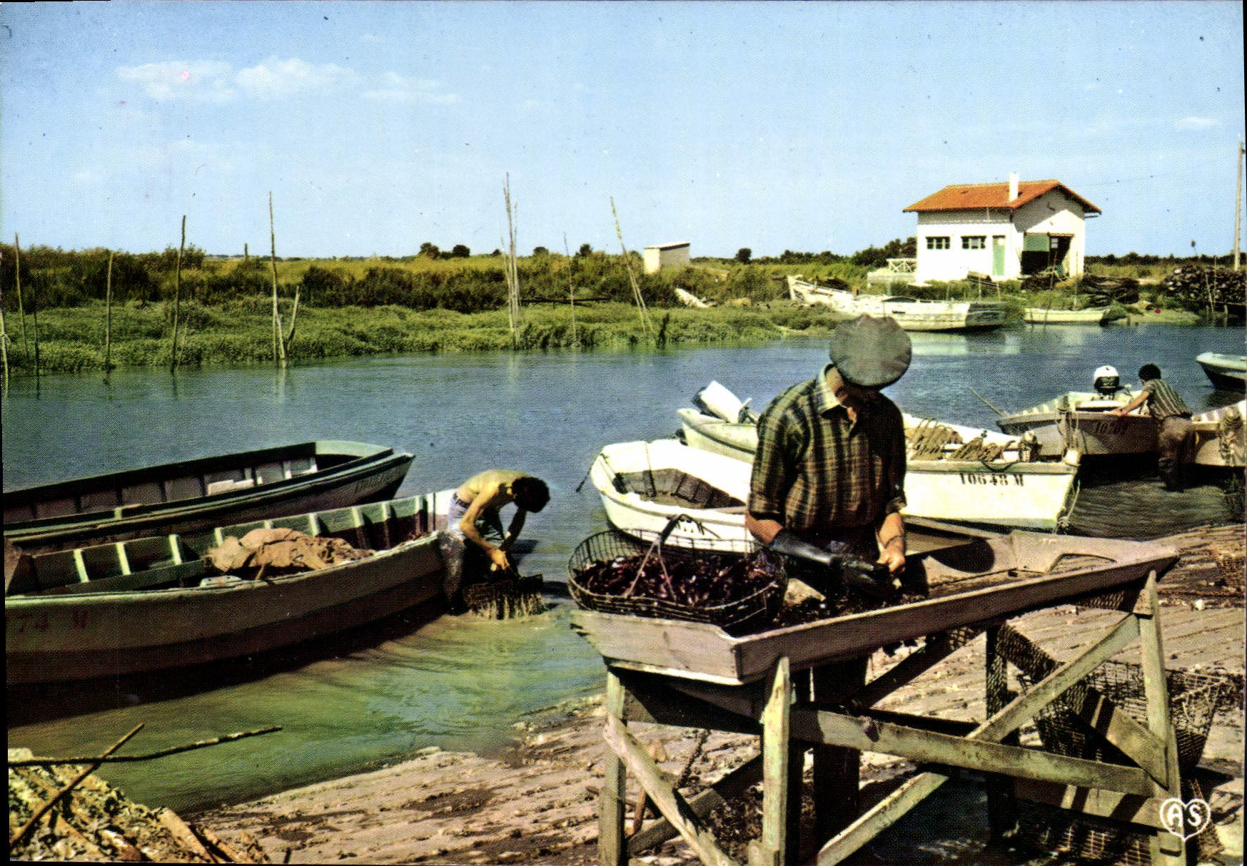 CPSM Parcs à Moules de bouchots mytiliculteur
