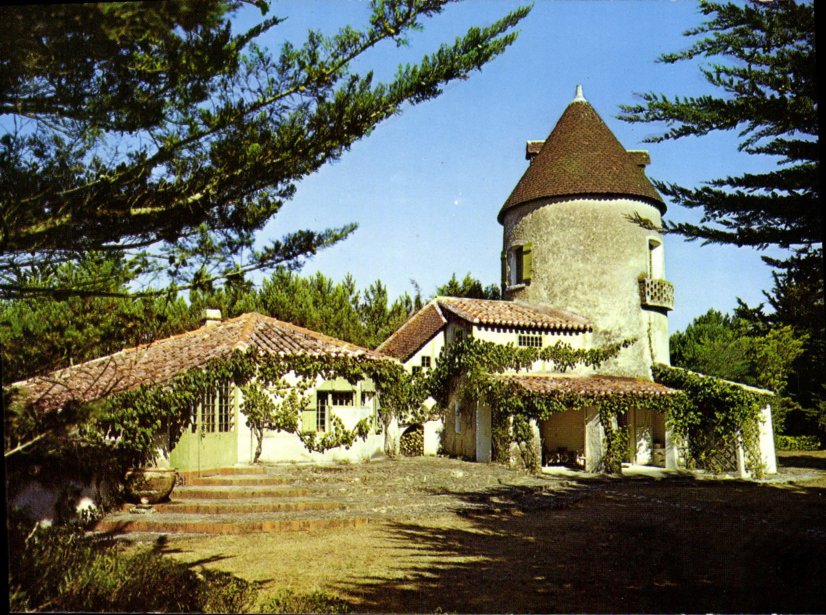 CPSM Ile de Noirmoutier Vendee Barbatre Moulin de la Frandiere