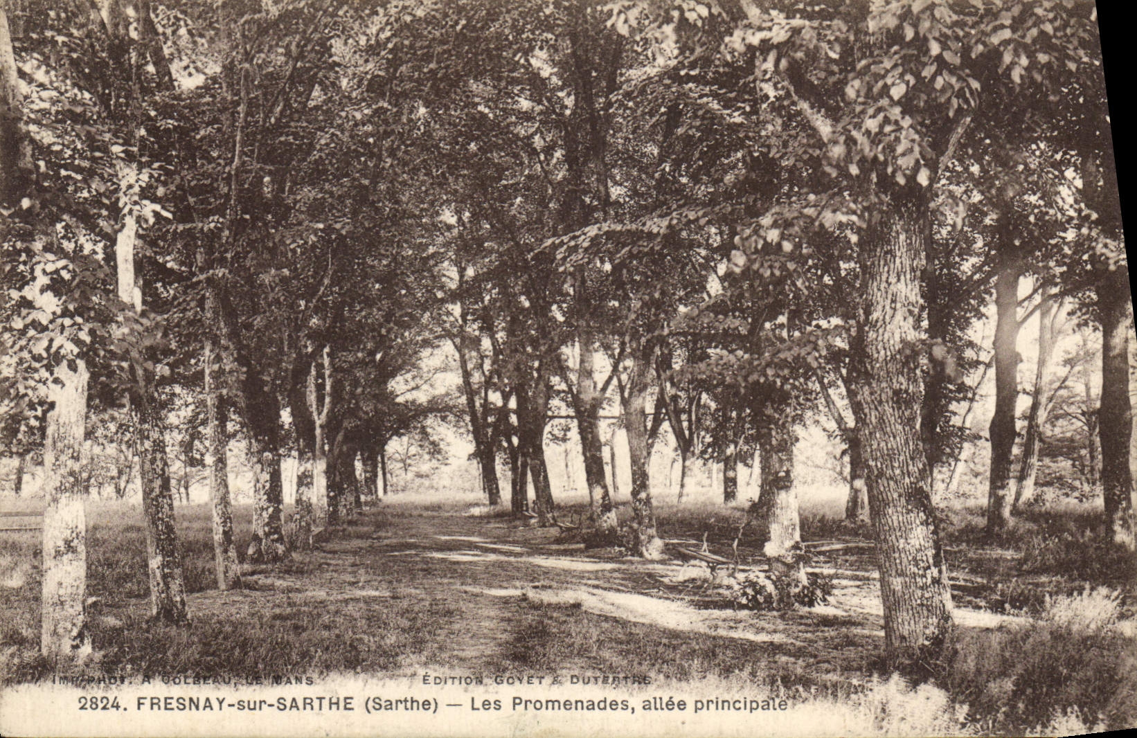 CPA Fresnay sur Sarthe Les Promenades allee principale