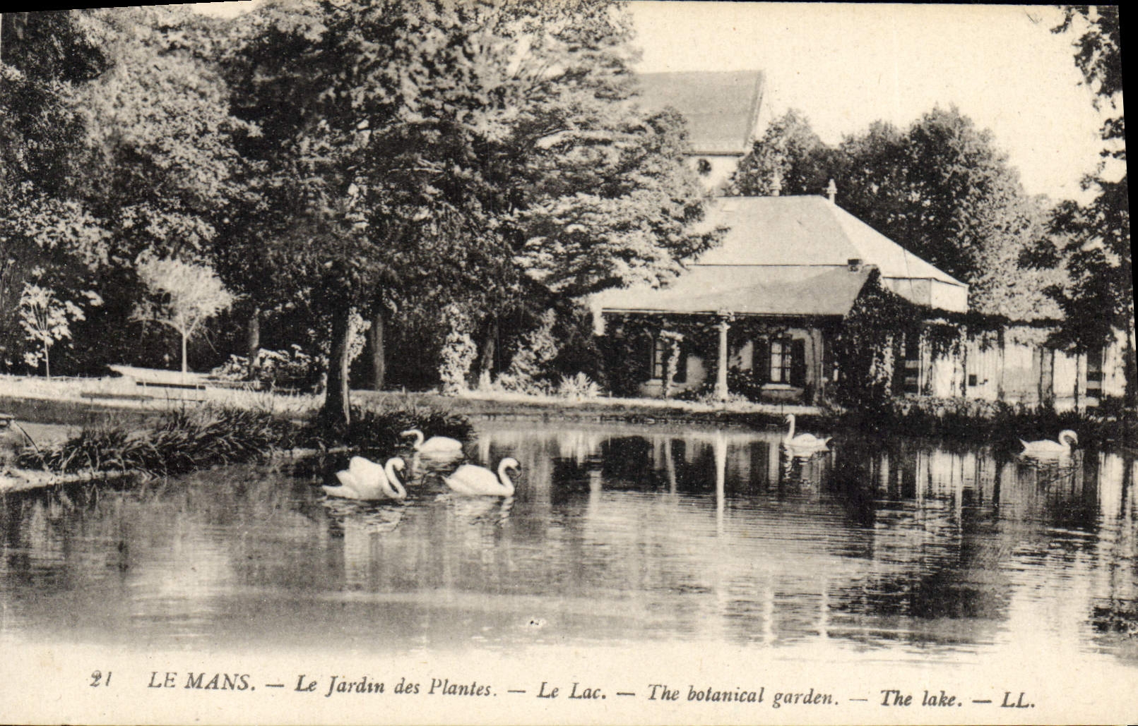 CPA Le Mans Le Jardin des Plantes Le Lac 