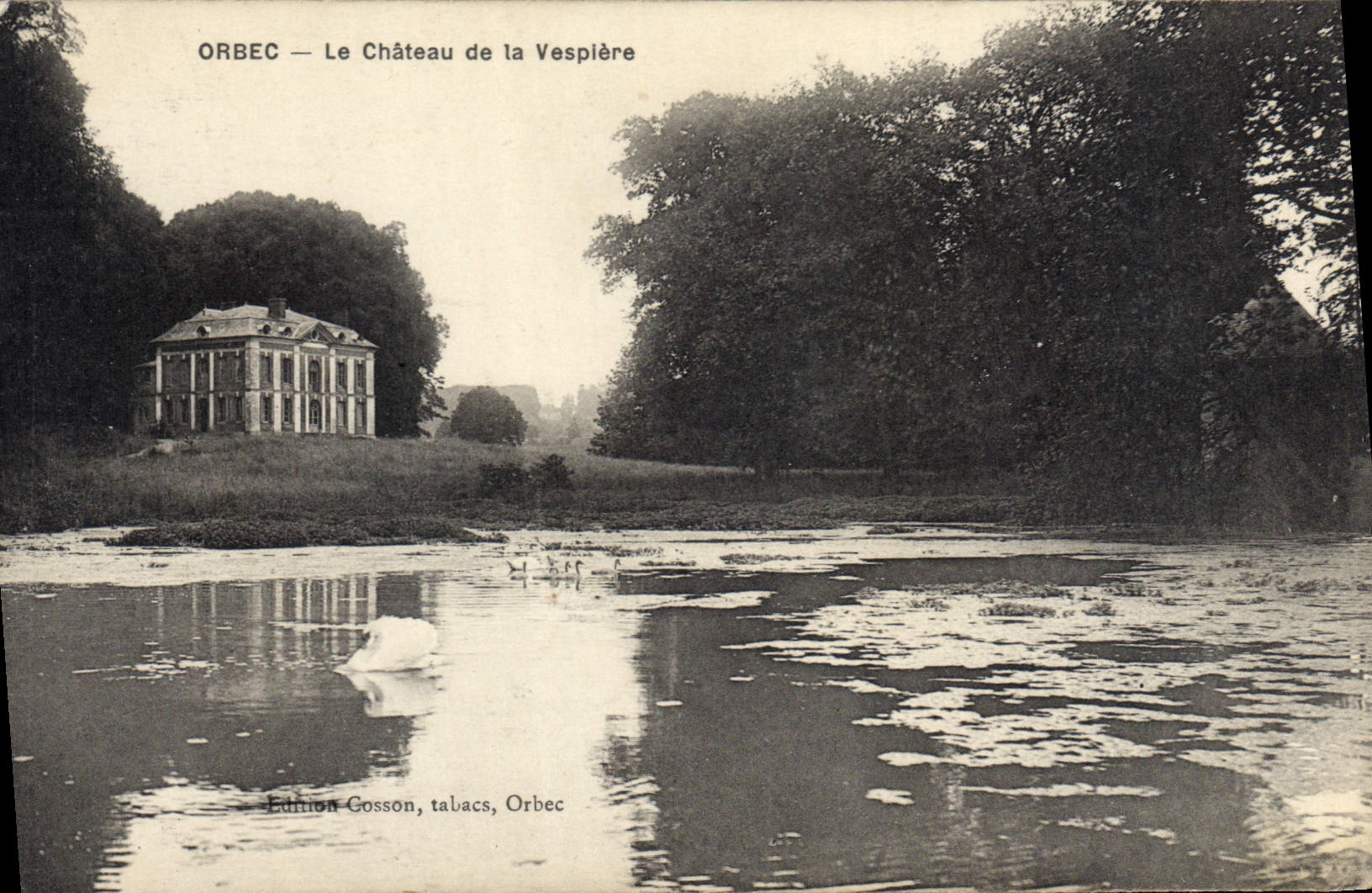 CPA Orbec Le Chateau de la Vespiere 