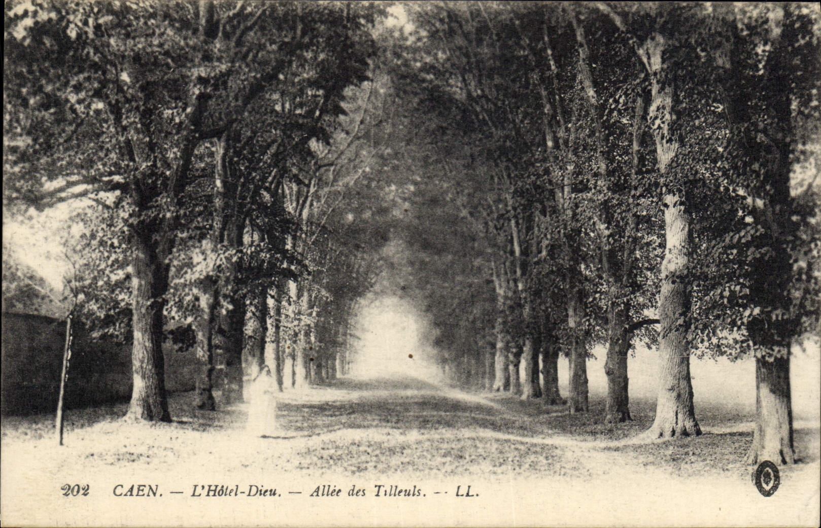 CPA Caen L'Hotel Dieu Allee des Tilleuls 