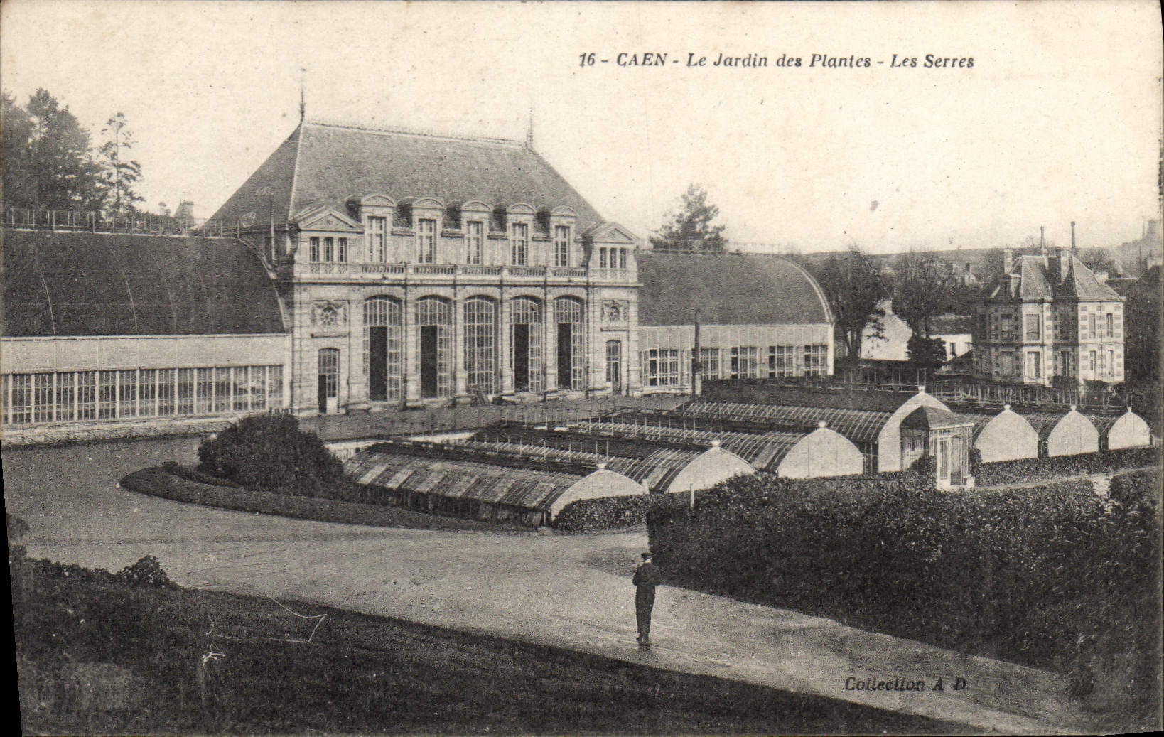 CPA Caen le jardin des Plantes les Serres 