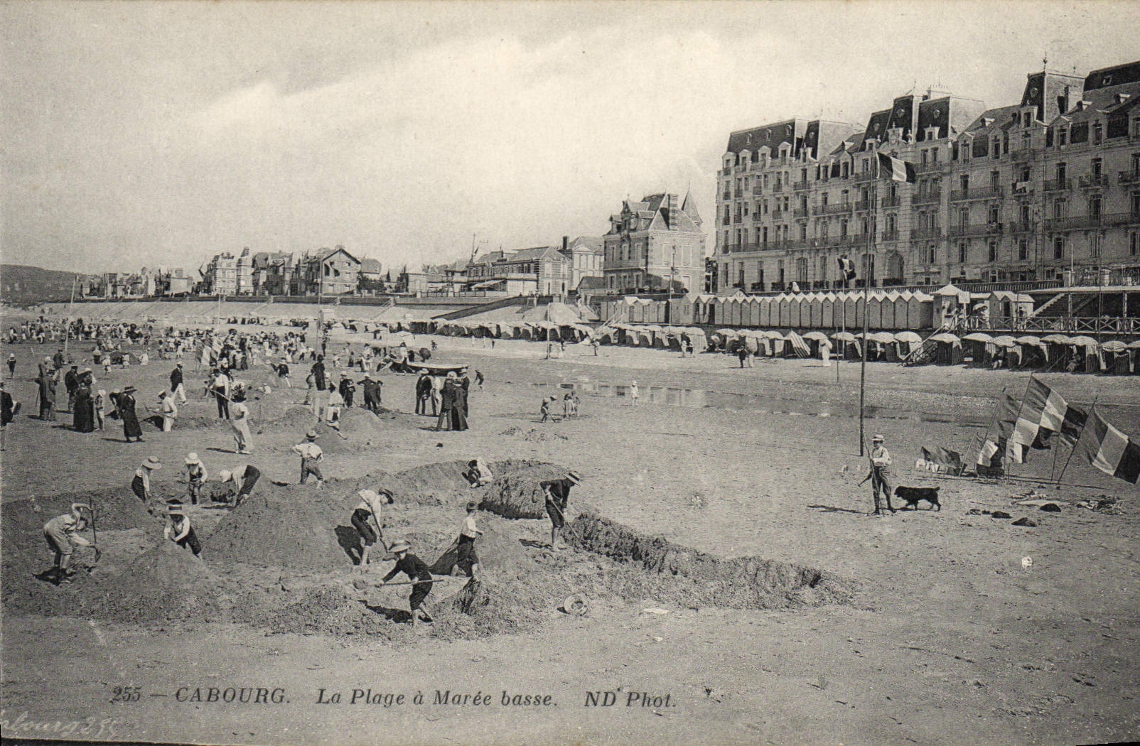 CPA Cabourg la plage a Maree basse 