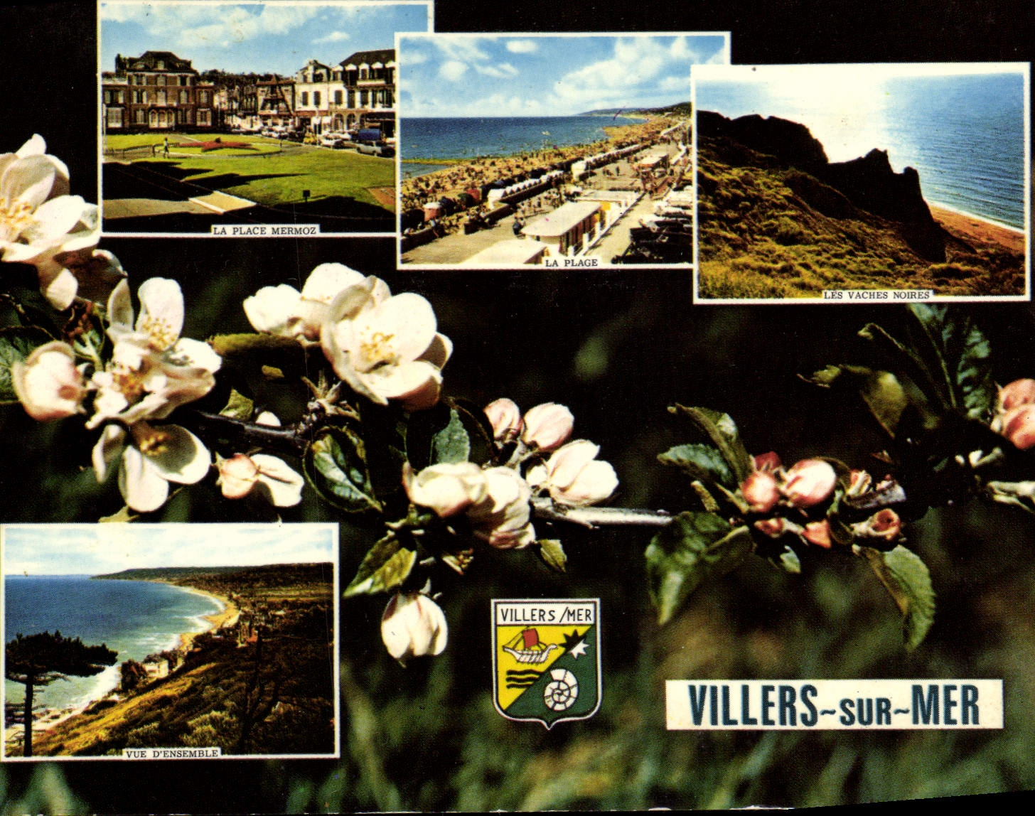 CPSM Villers sur mer La plage Mermoz La plage les Vaches Boures vue d'ensemble