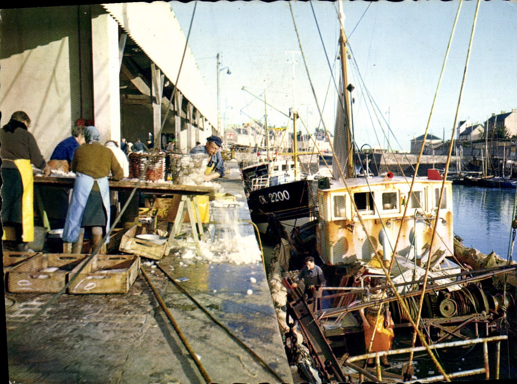 CPSM Port en Bassin Calvados tri du poisson 
