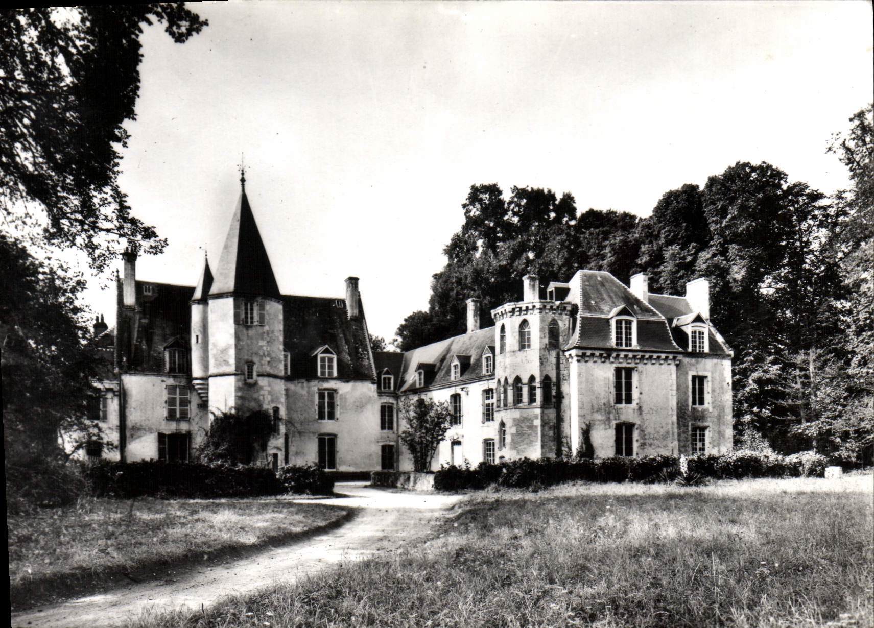 CPSM Le Pin la Garenne Chateau de la Pellonniere