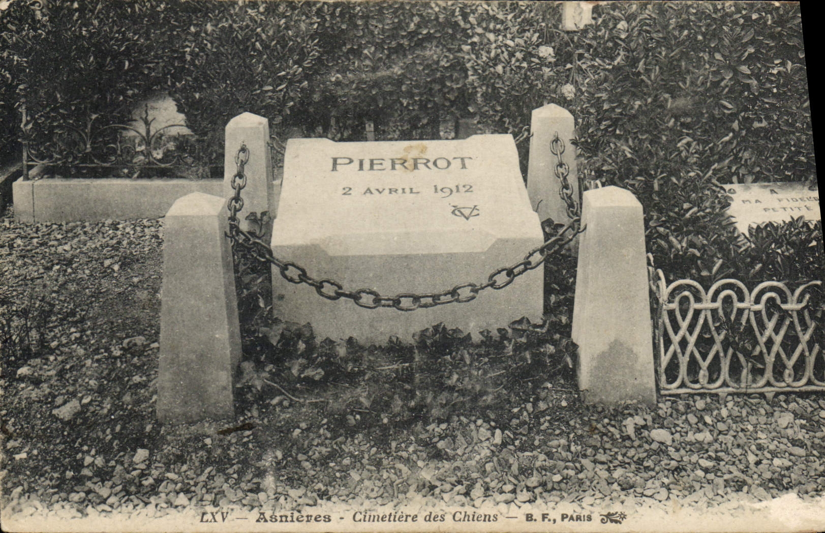 CPA Asnieres Cimetiere des Chiens