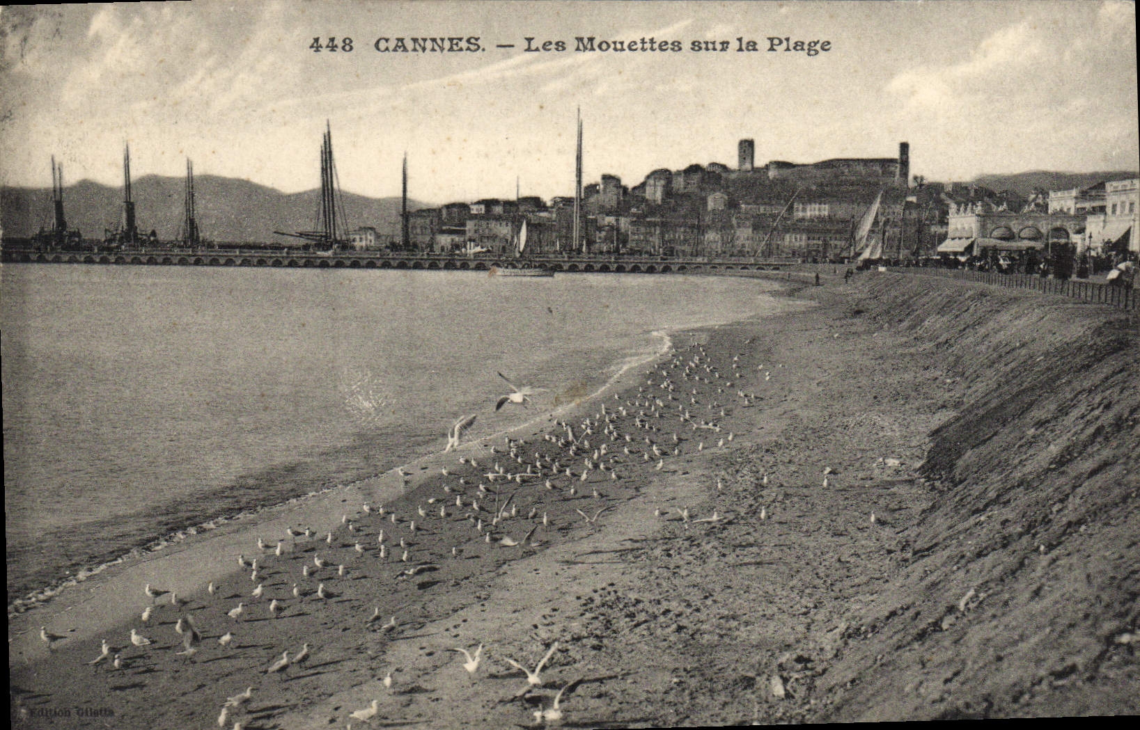 CPA Cannes Les Mouettes sur la Plage