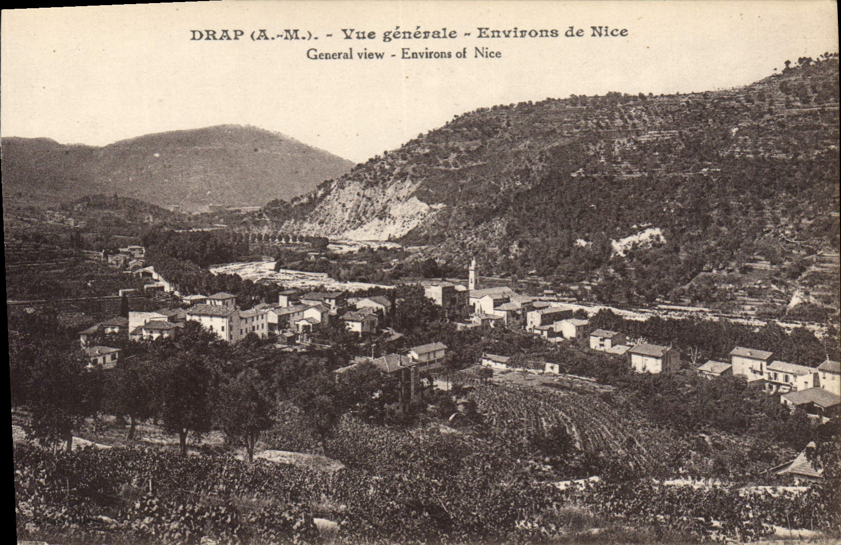 CPA Drap Vue generale Environs de Nice