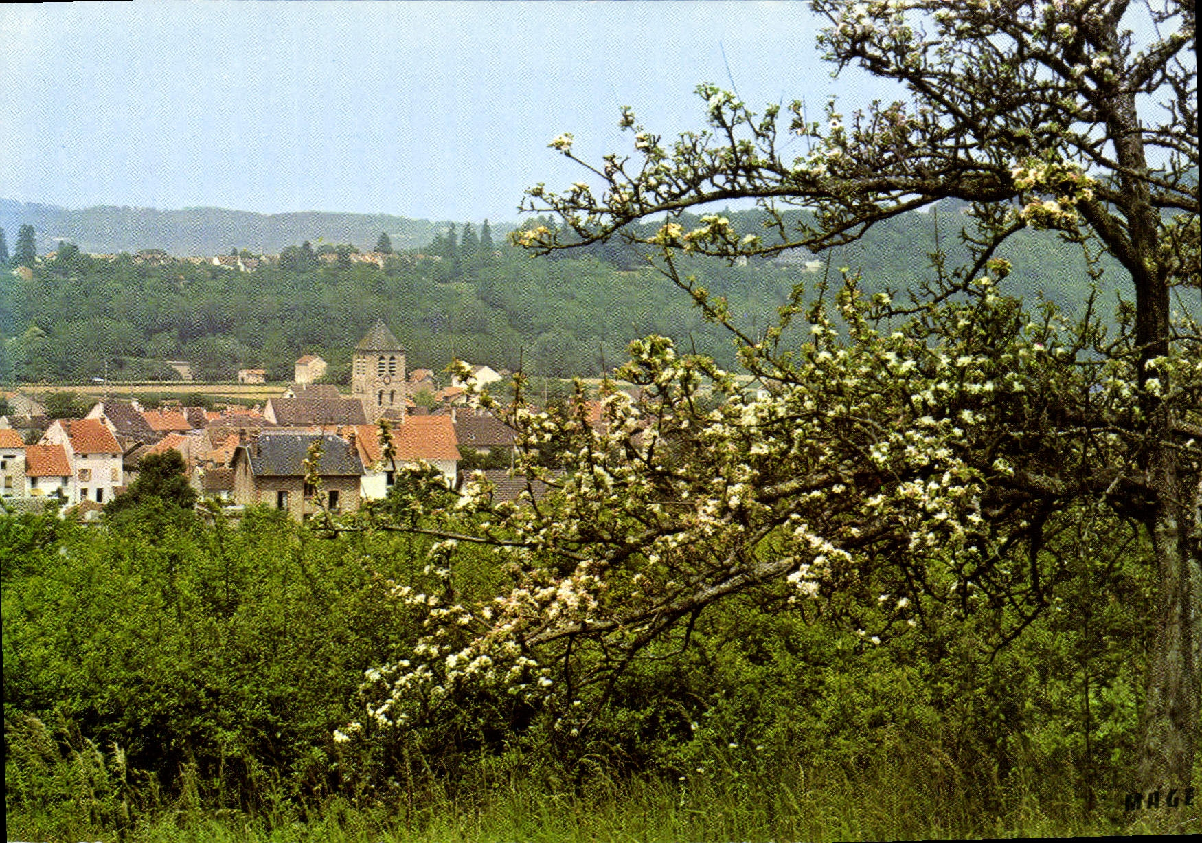 CPSM Saacy sur Marne Vue generale