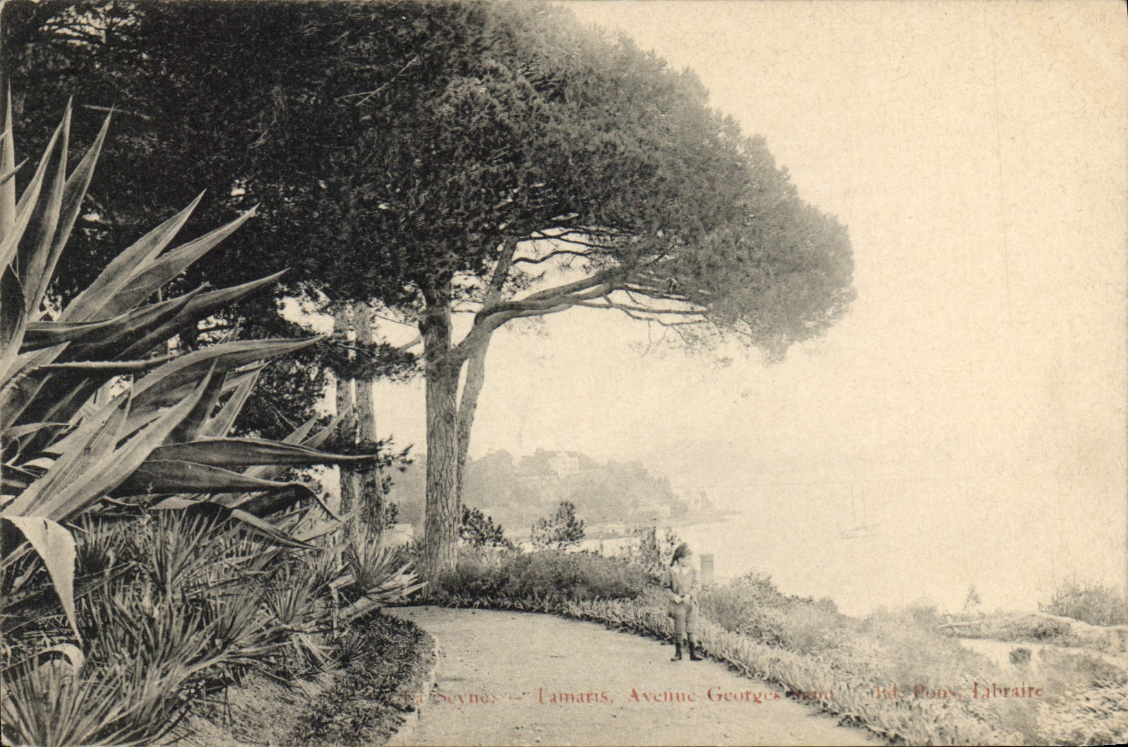 CPA La Seyne avenue georges sand