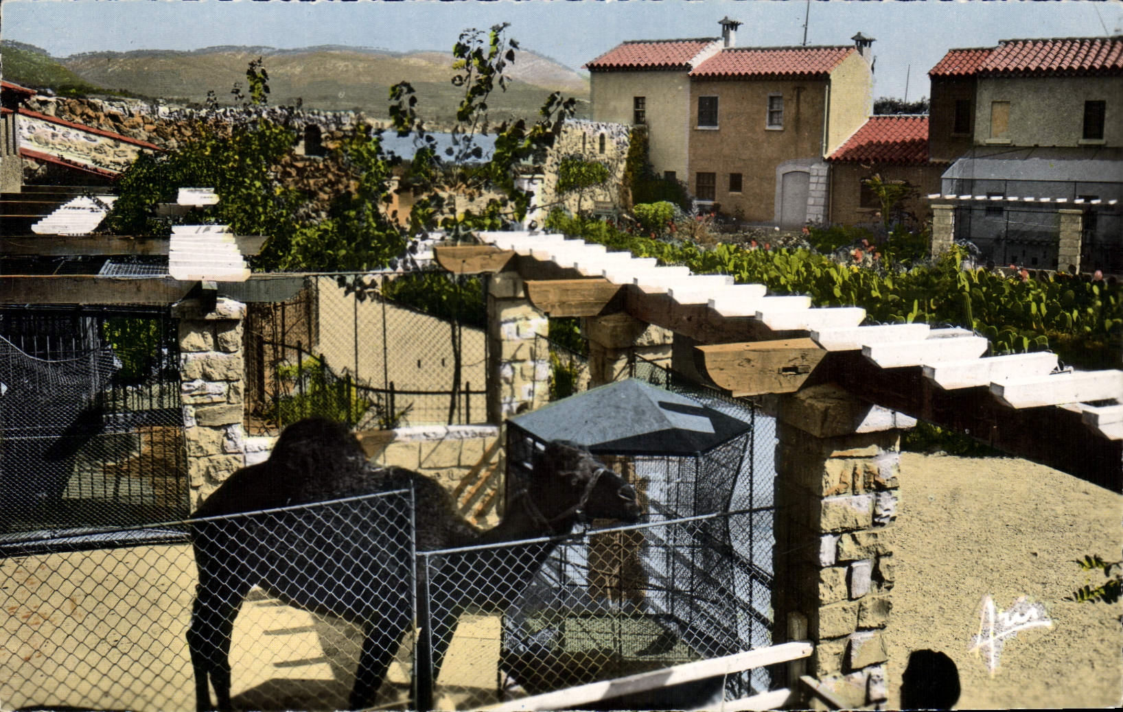 CPA Bandol Ile Ricard La Menagerie