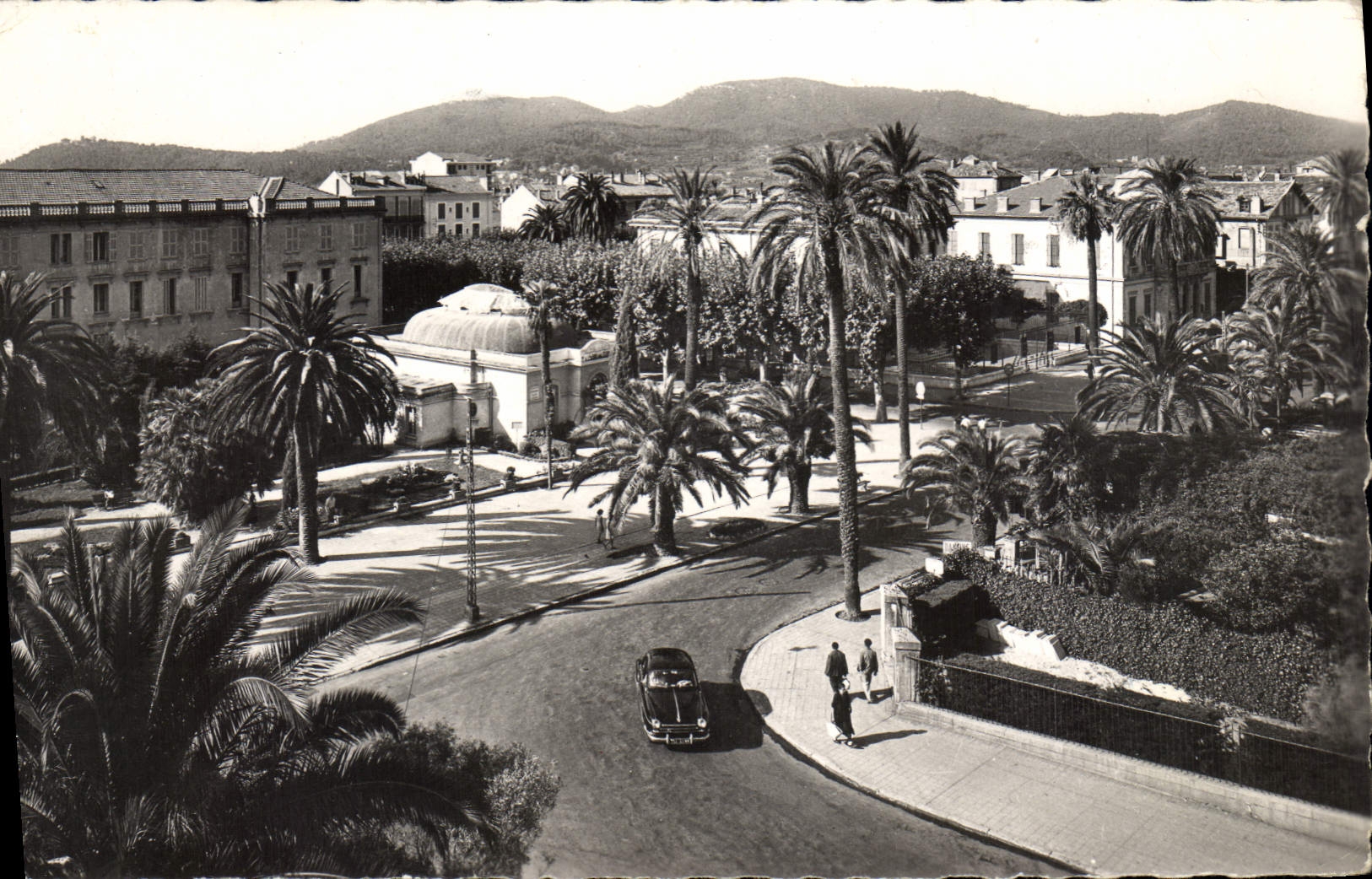 CPA Hyeres les Palmiers Avenue de Belgique