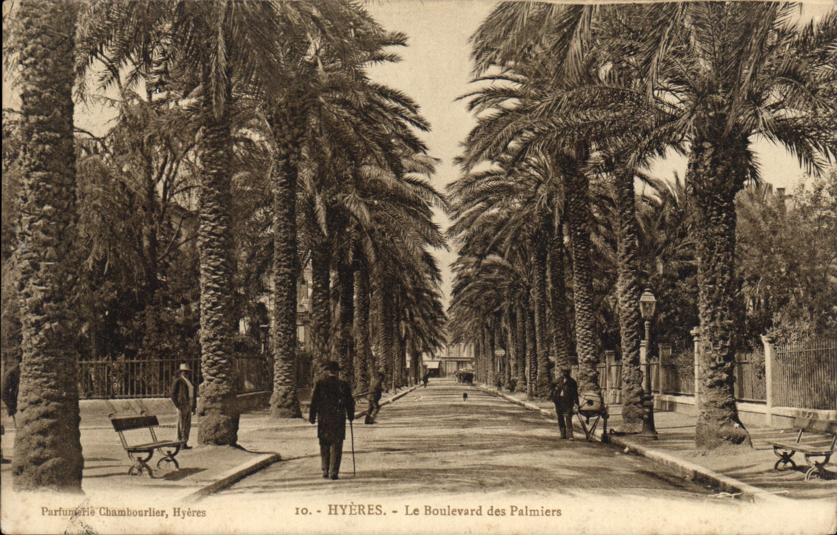 CPA Hyeres Le boulevard des Palmiers