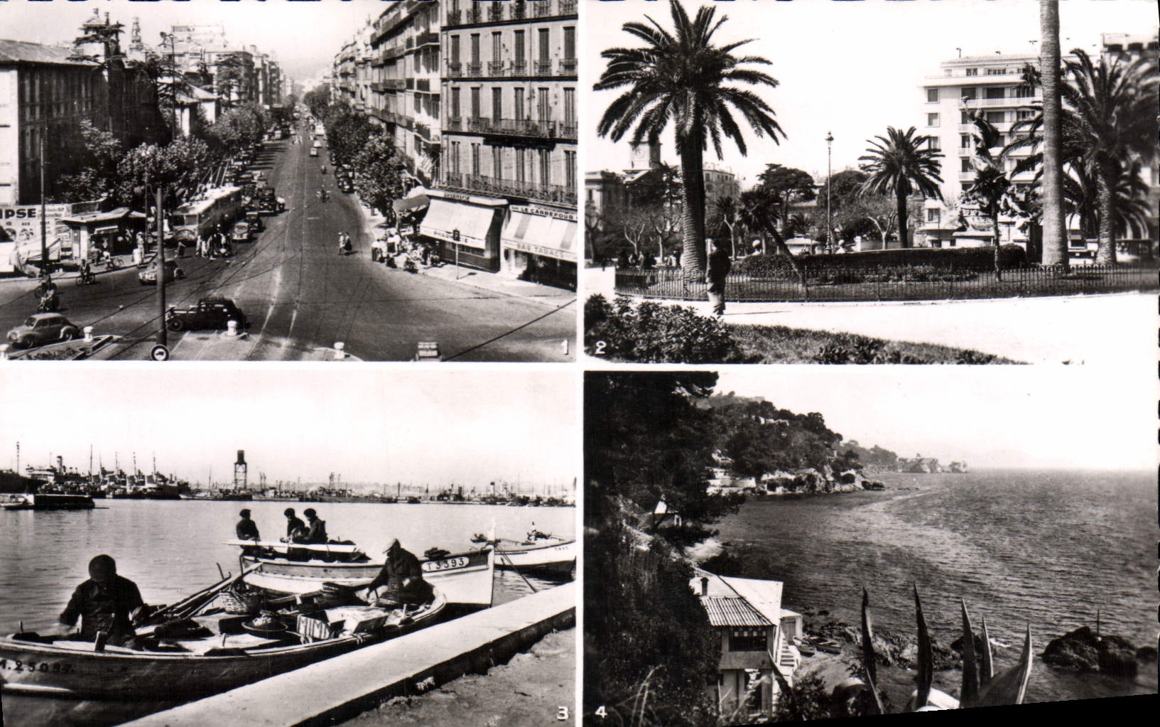 CPA Toulon Place Noel Blanche Place de la Liberte Port de peche Les flots Bleus