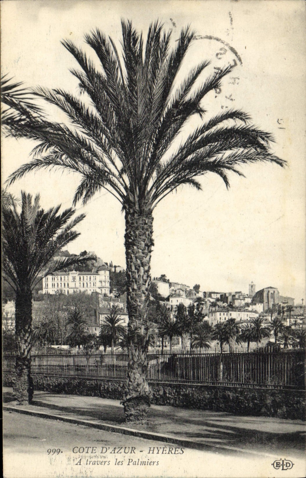 CPA Hyeres A travers les Palmiers