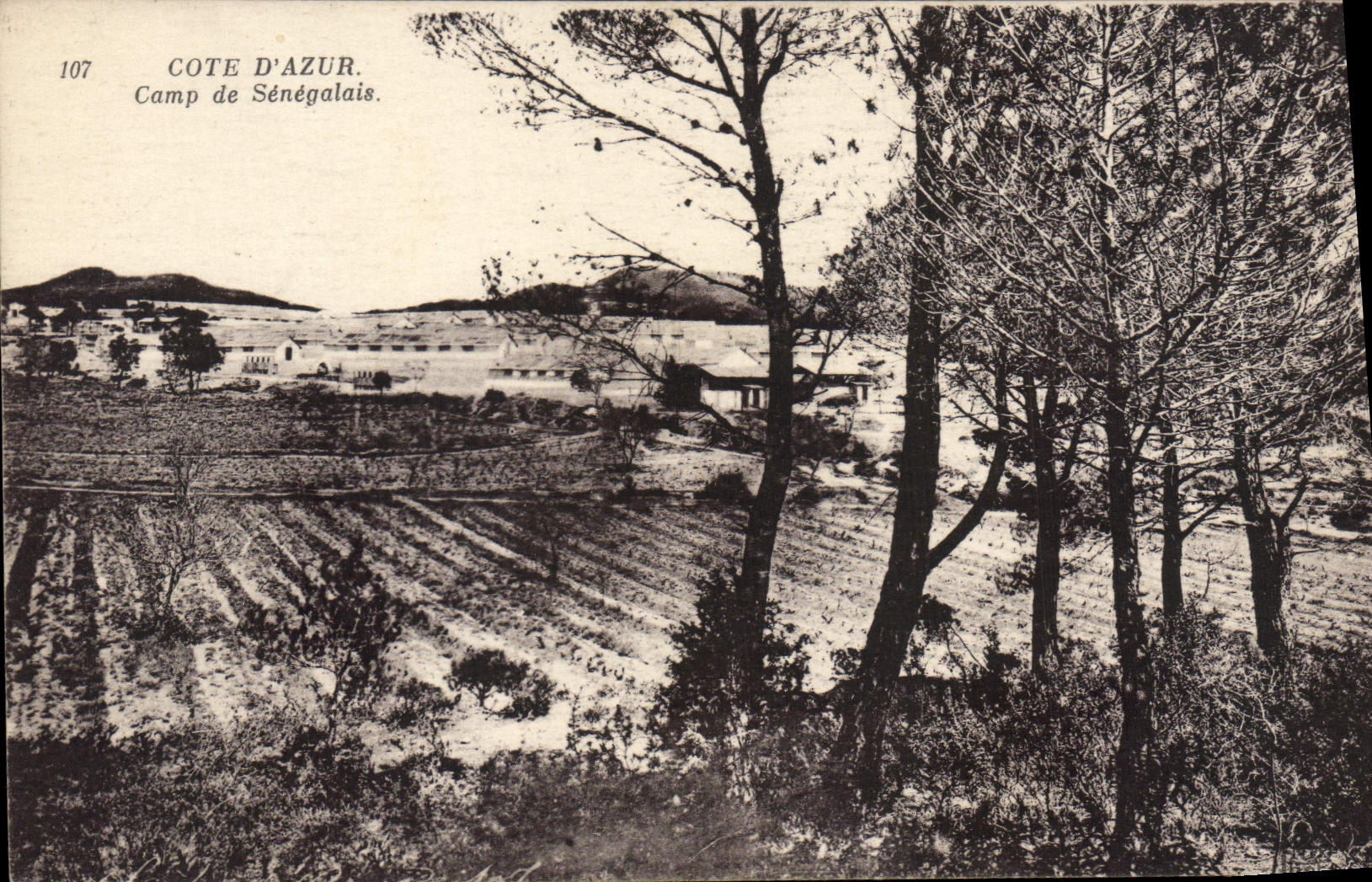 CPA Camp de Sénégalais Frejus