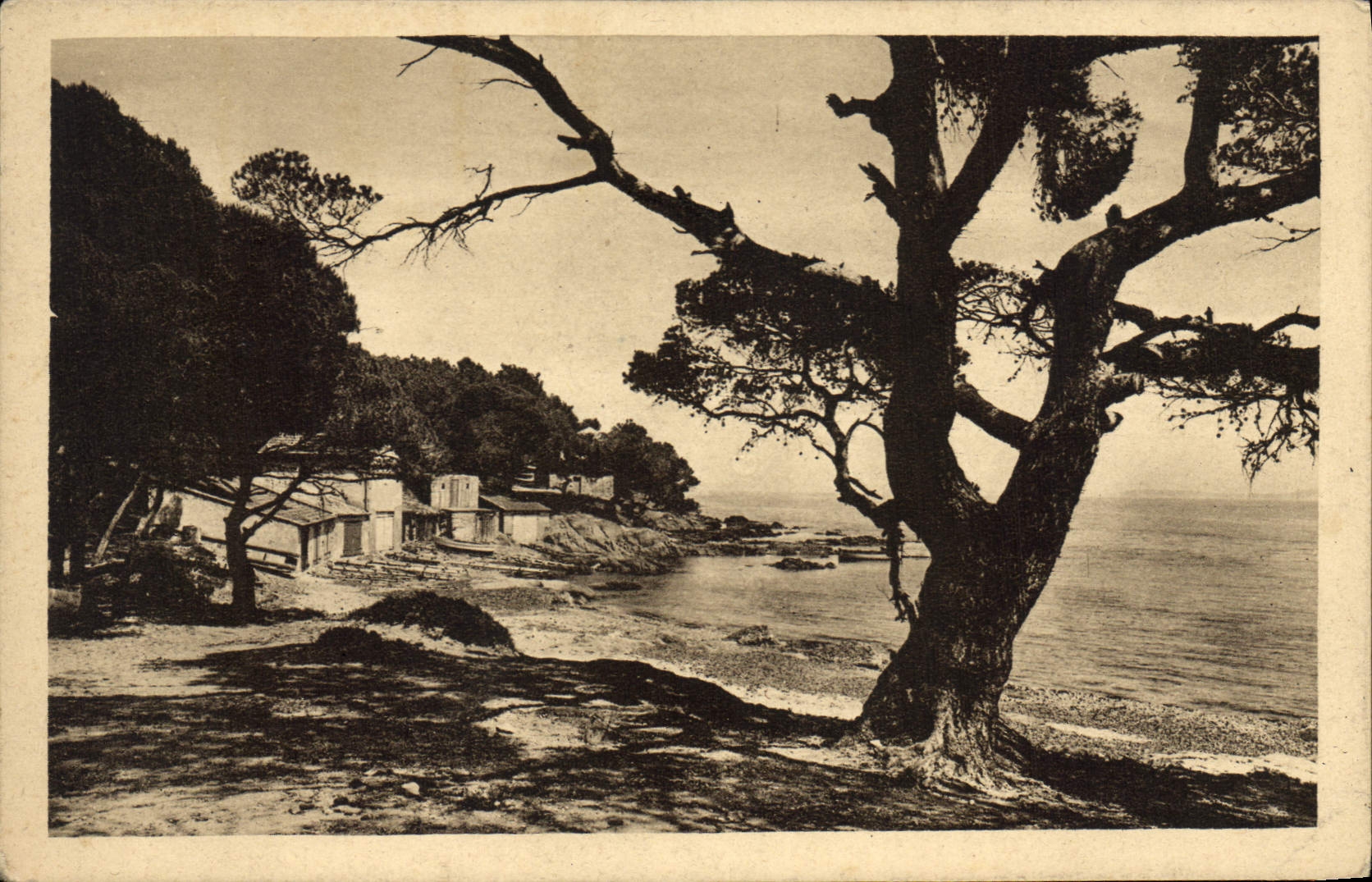 CPA Le Levandou La plage de la Faviere