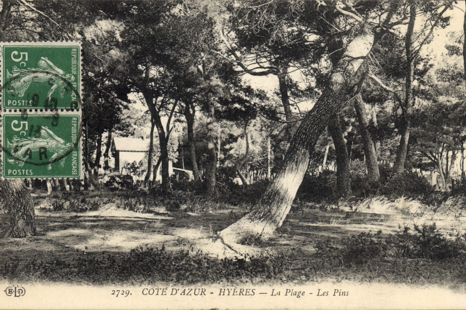 CPA Hyeres La Plage les pins