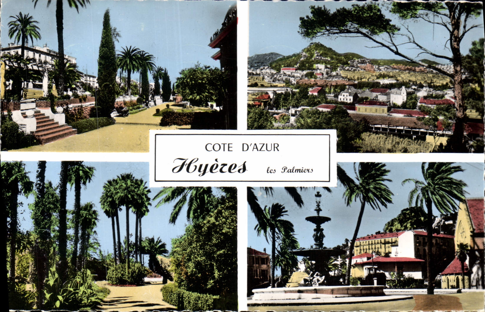 CPA Cote d'Azur Hyeres les Palmiers 
