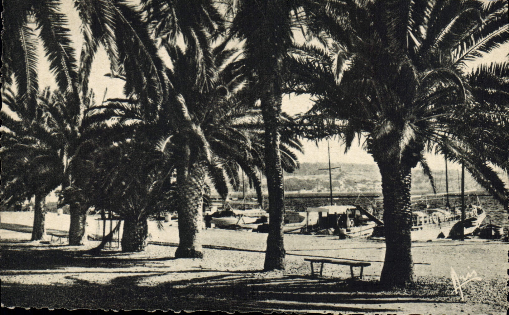 CPA Bandol Allee des Palmiers 