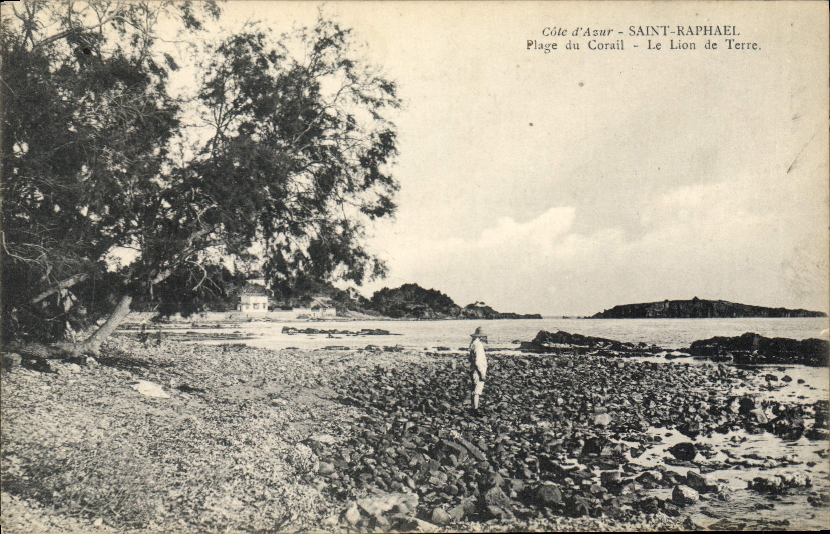 CPA Cote d'Azur Saint Raphael Plage du Corail Le Lion de Terre