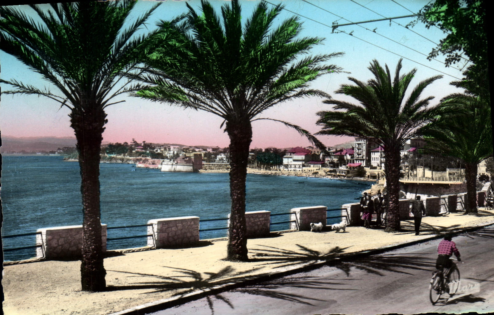 CPA Toulon Mourillon Le Boulevard du Littoral 