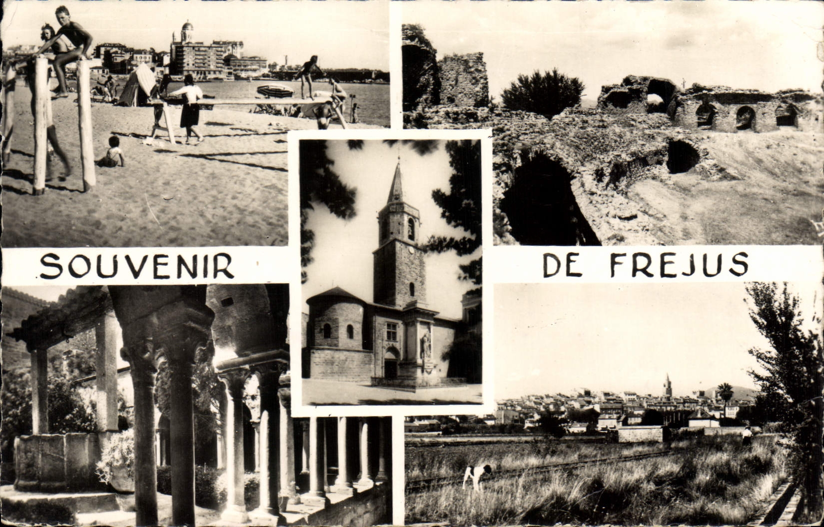 CPA La Cote d'Azur Frejus Var 