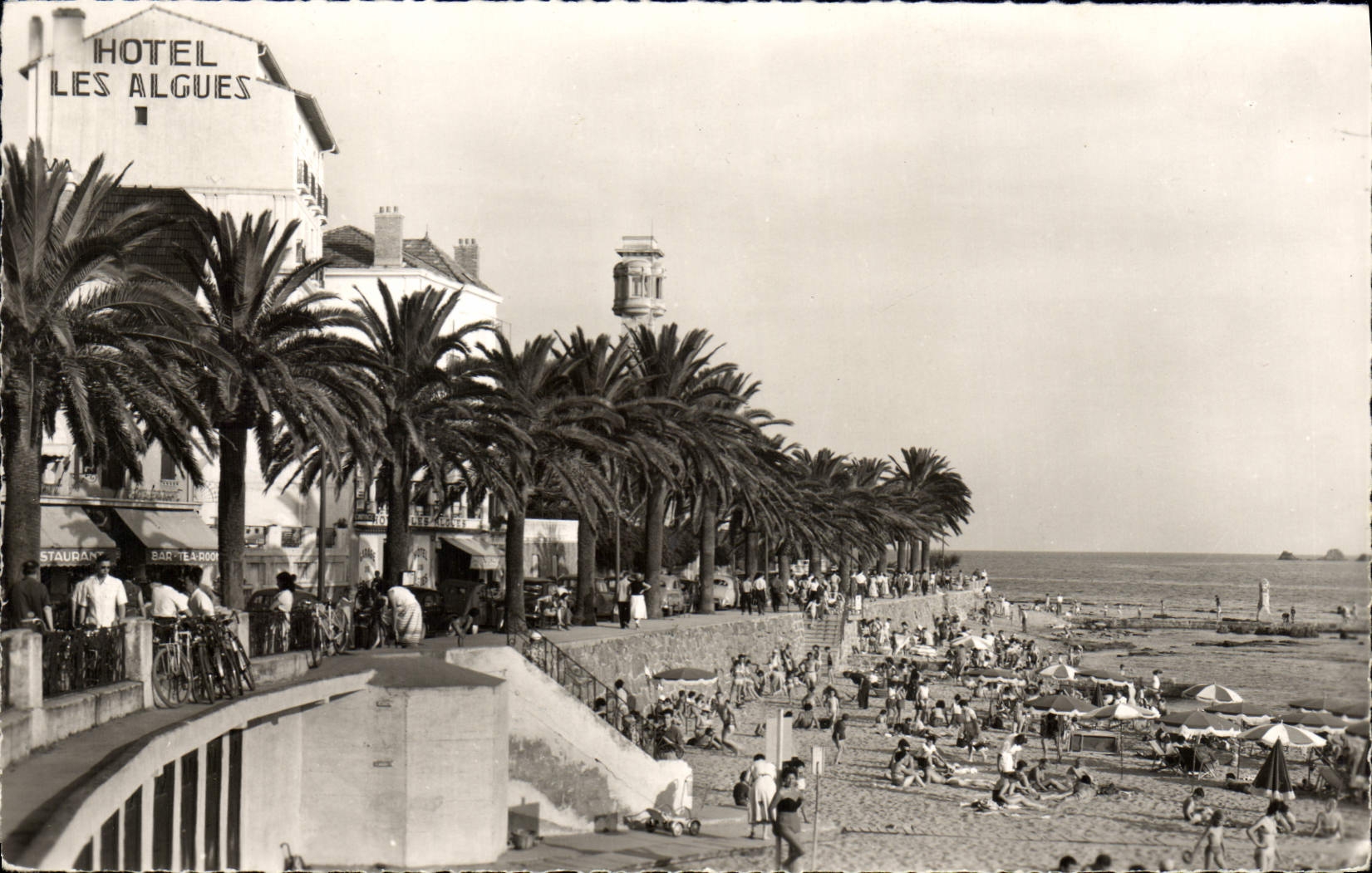 CPA Saint Raphael La Plage 