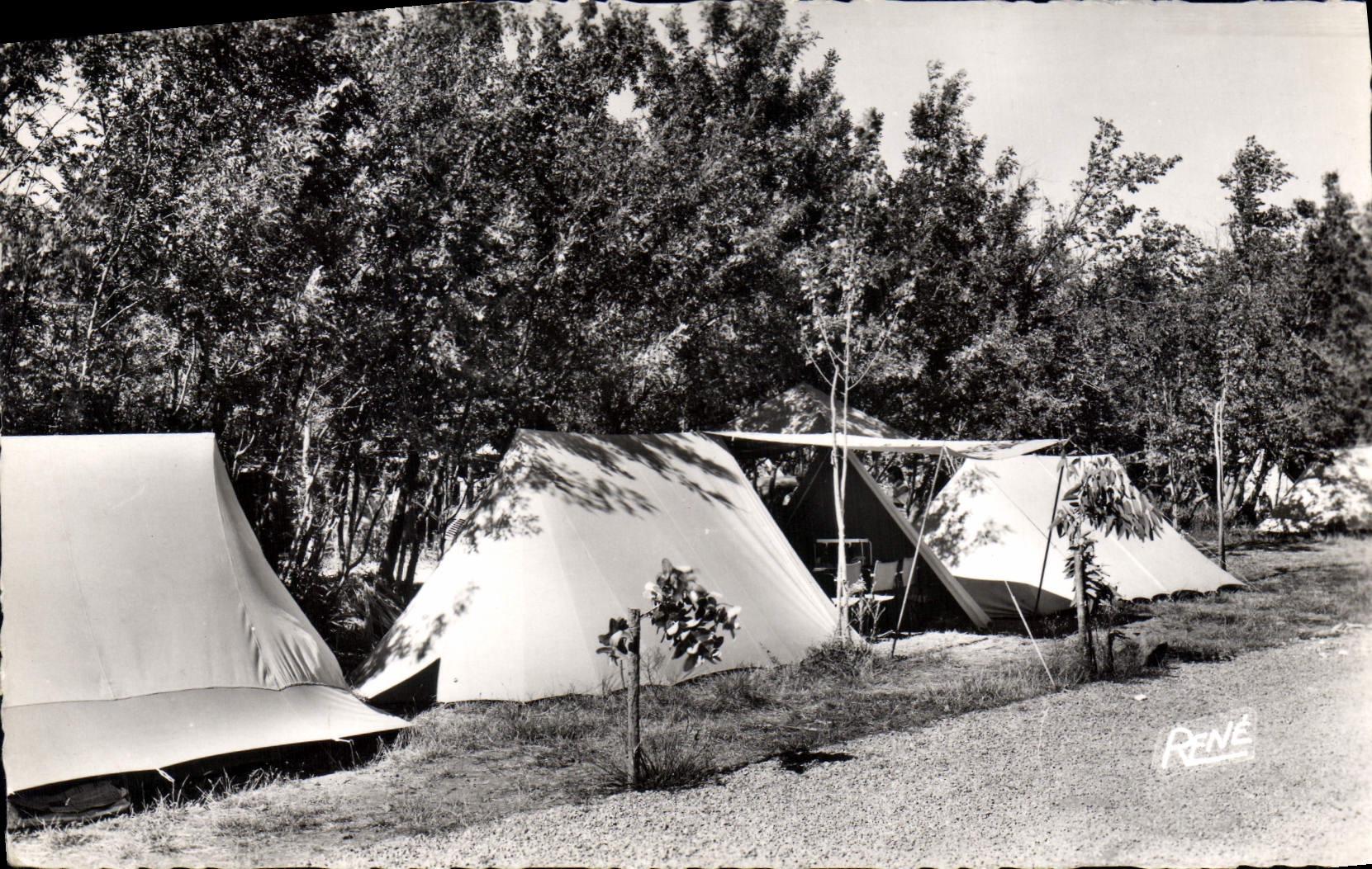 CPA Hyeres Une vue du Camping du Ceinturon La Plage d'Hyeres