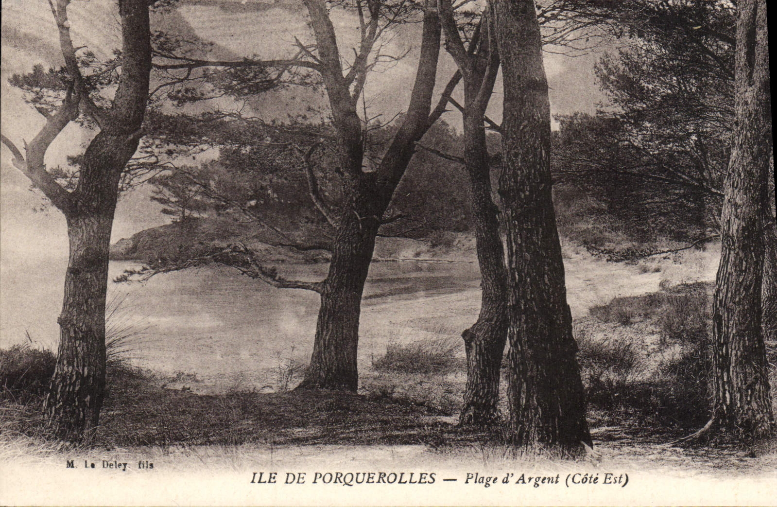 CPA Ile de Porquerolles Plage d'Argent cote est