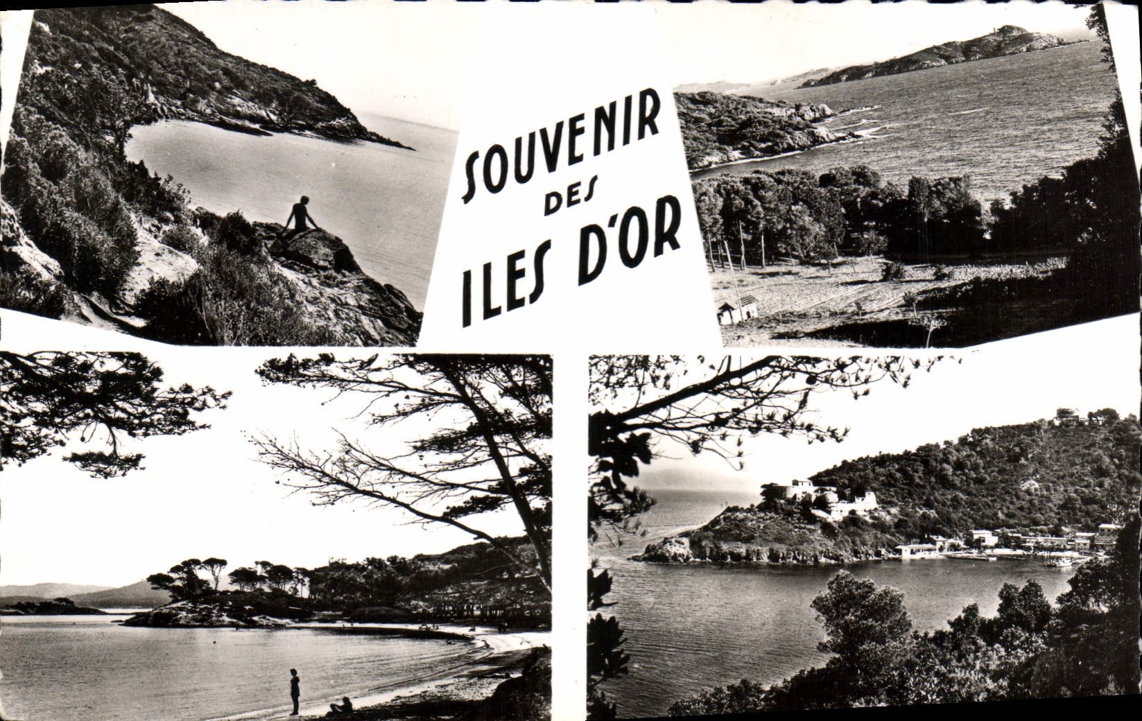 CPA Souvenir des Iles d'Or 