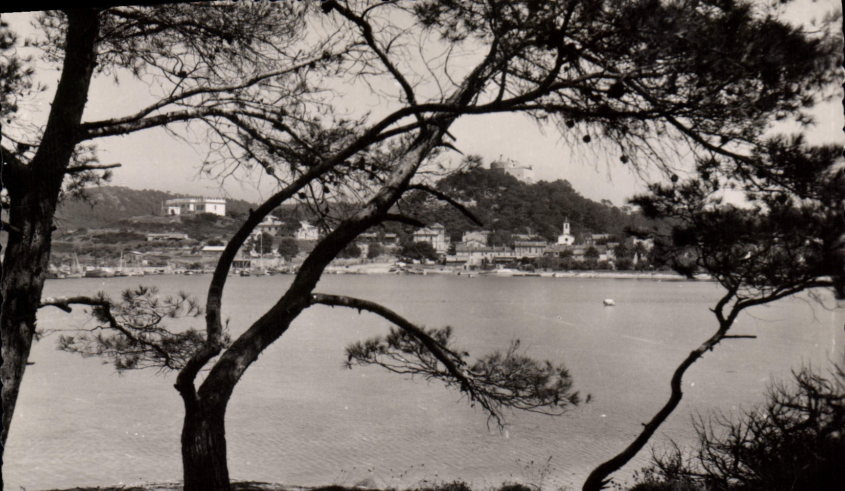 CPA La Perle des Iles d'Or Ile de Porquerolles Var le Village