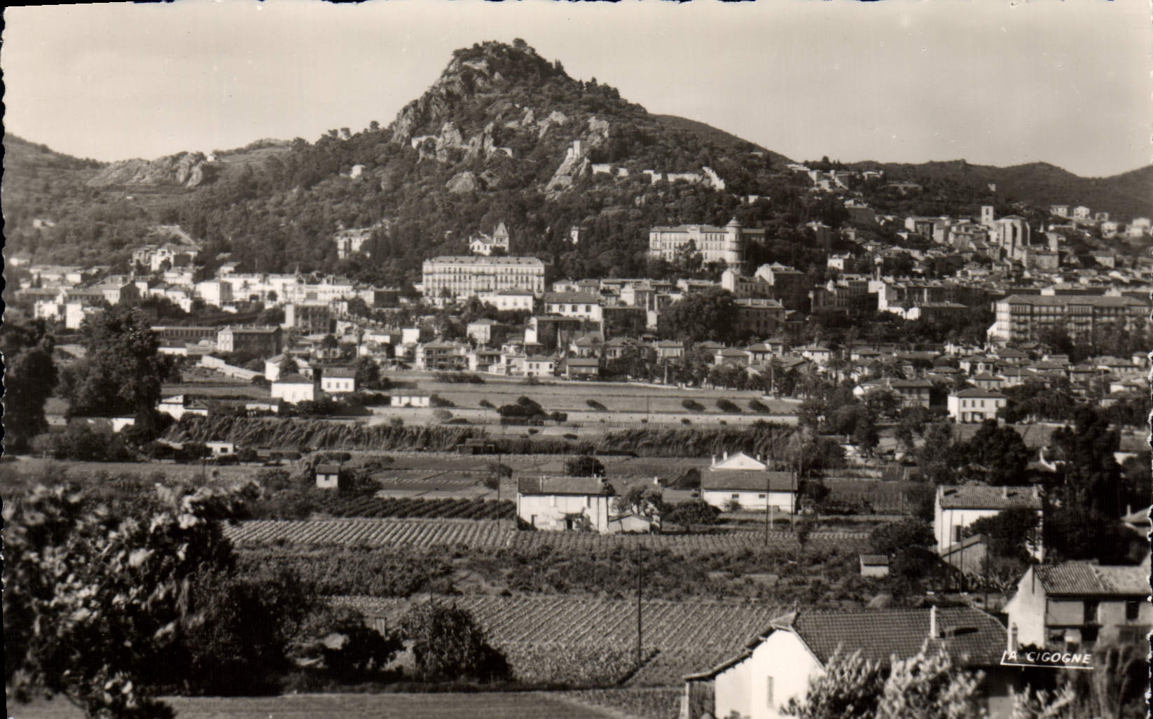 CPA Hyeres Var Vue generale 