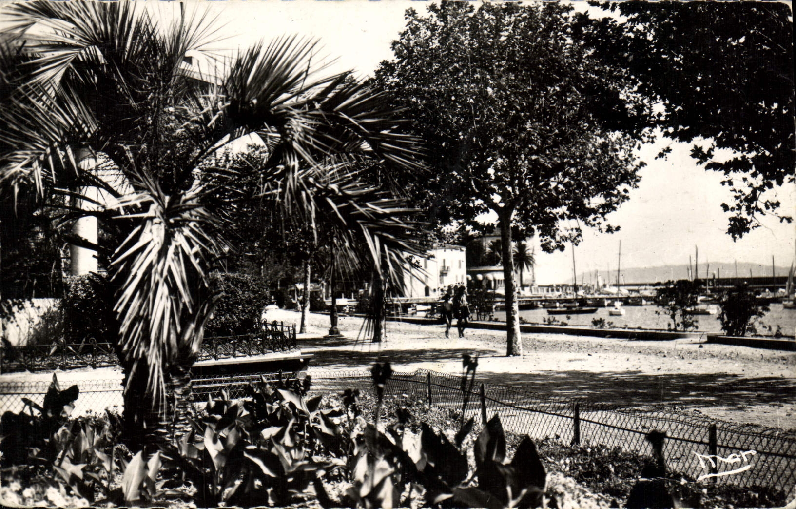 CPA La Cote d'Azur Ste Maxime sur Mer Var La Promenade