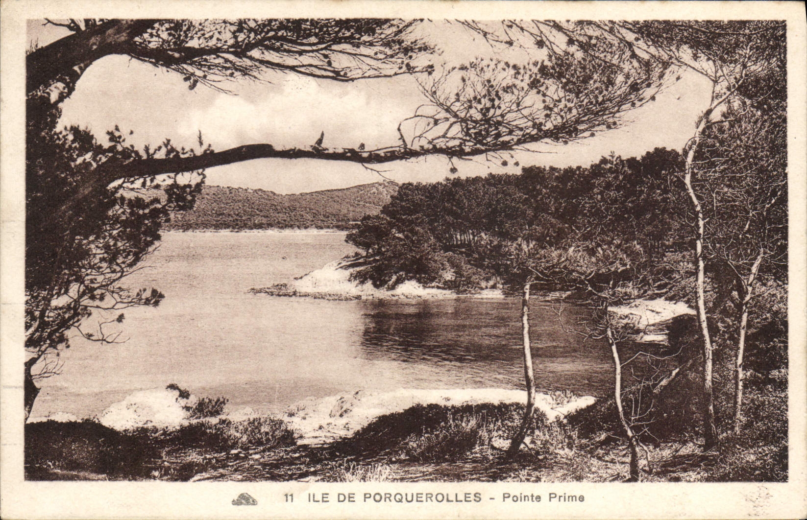 CPA Ile de Porquerolles Pointe Prime